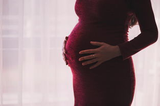 人工助孕代妈几个月定胎位